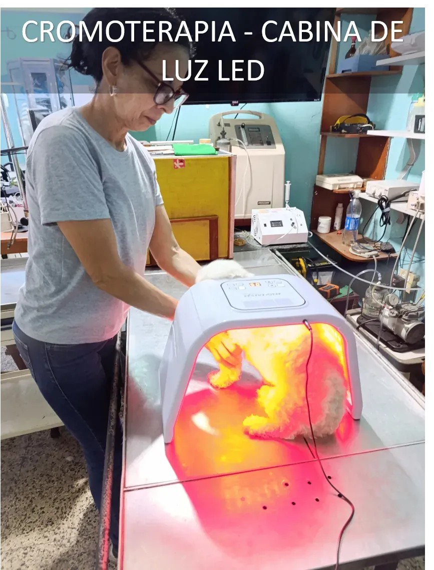 Fisioterapia